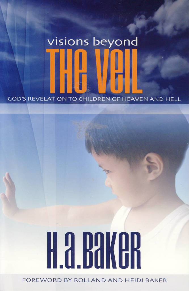 Visions_Veil cover