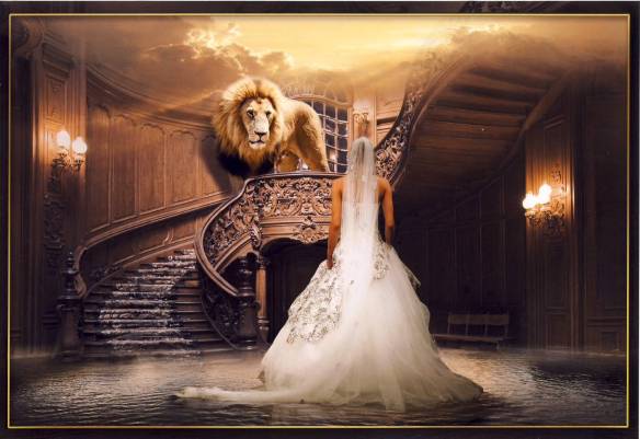 Arrival - courtesy James Nesbit: click to view and purchase