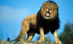 Beststockpictures images20USU0KH