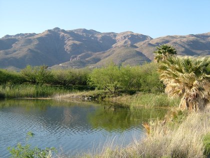 The Catalinas to north of Tucson (RB April'08)